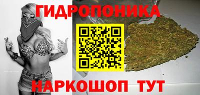 mdpv Краснознаменск