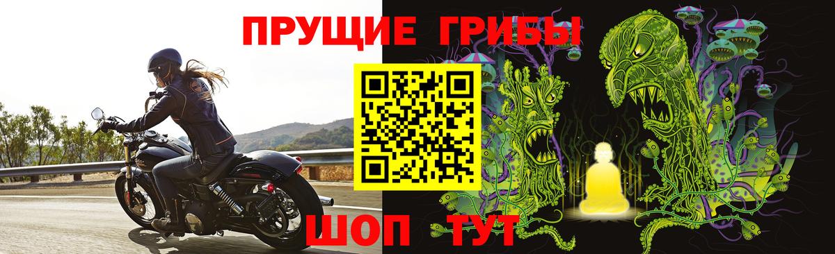Киров  Псилоцибиновые грибы MAGIC MUSHROOMS  Вход с VPN 