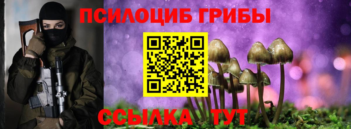 Галлюциногенные грибы GOLDEN TEACHER Киров